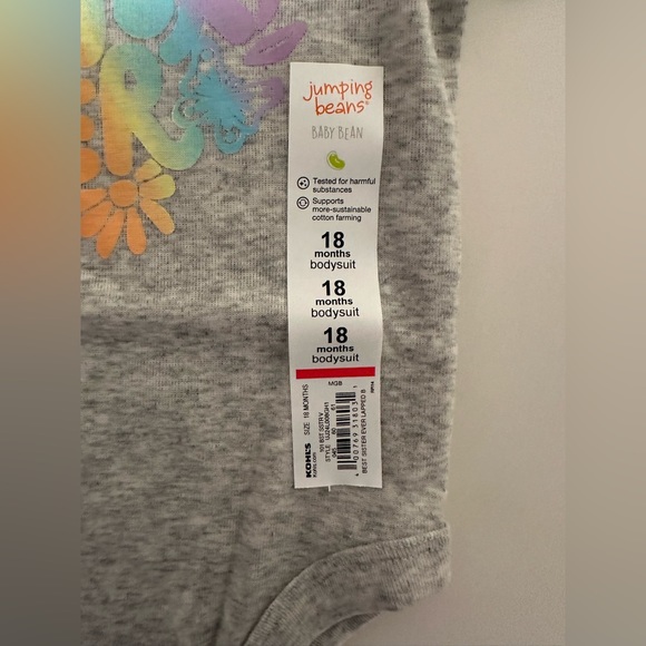 NWT Jumping Beans 18 Months Best Sister Ever Rainbow Gray Onesie - Picture 2 of 5